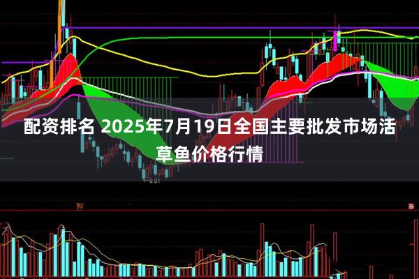 配资排名 2025年7月19日全国主要批发市场活草鱼价格行情