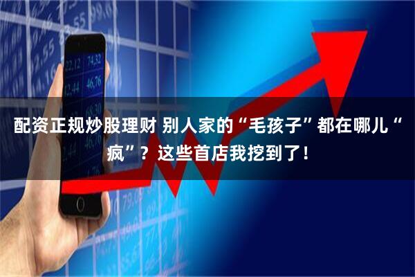 配资正规炒股理财 别人家的“毛孩子”都在哪儿“疯”？这些首店我挖到了！