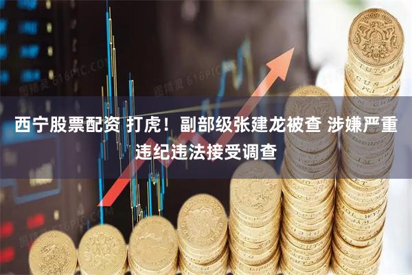西宁股票配资 打虎！副部级张建龙被查 涉嫌严重违纪违法接受调查