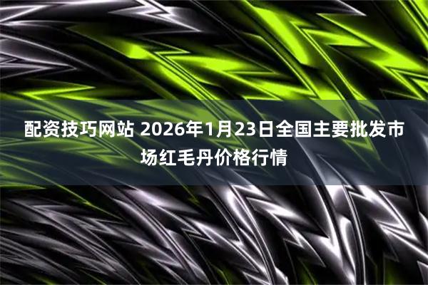 配资技巧网站 2026年1月23日全国主要批发市场红毛丹价格行情